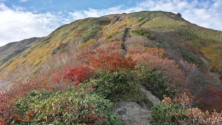 谷川岳紅葉