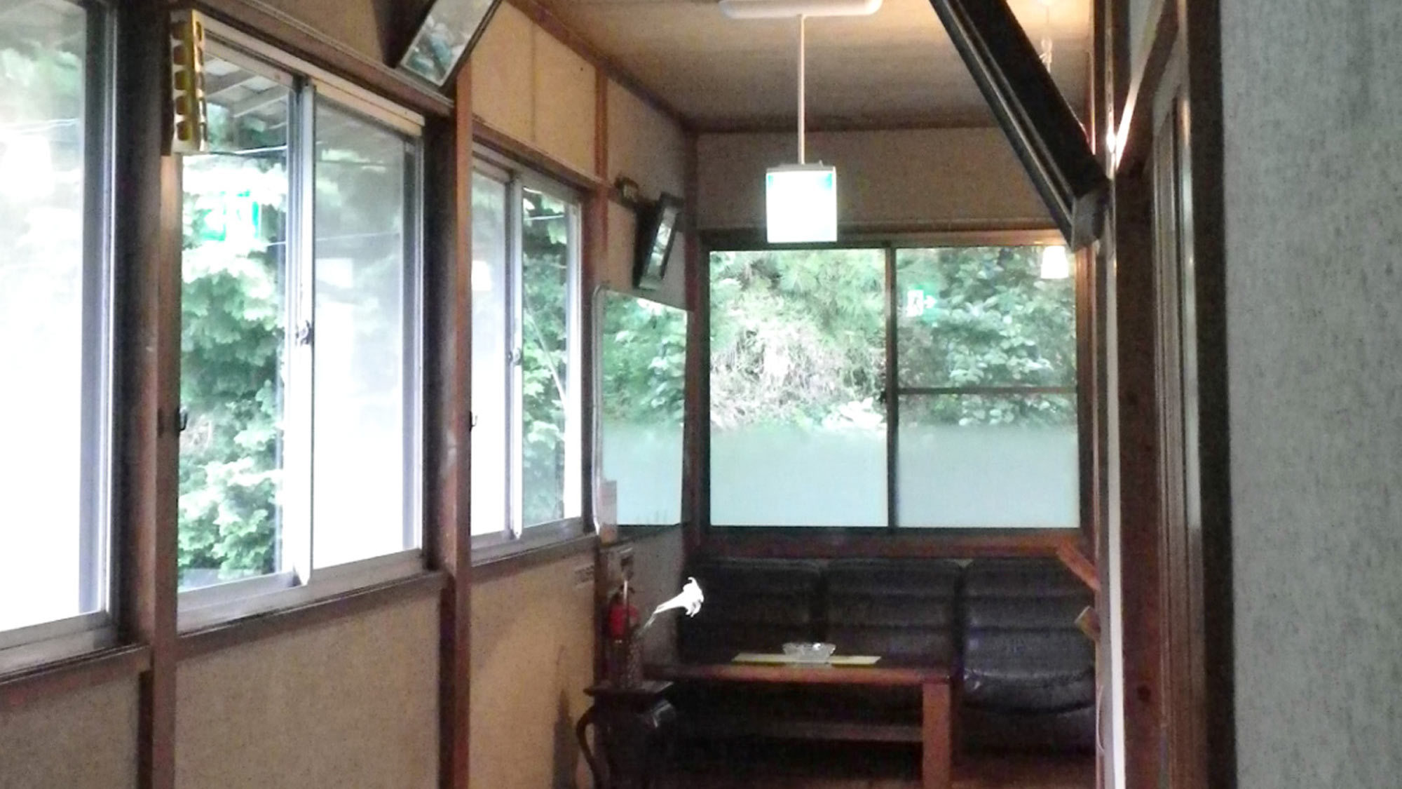 *【館内】廊下の窓からは庭や七沢の青々とした木々を見ることができます。