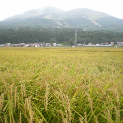 会津磐梯山【宝の山】