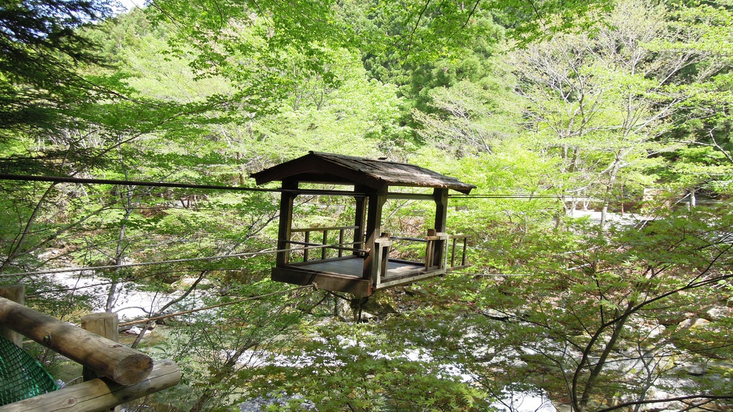 野猿