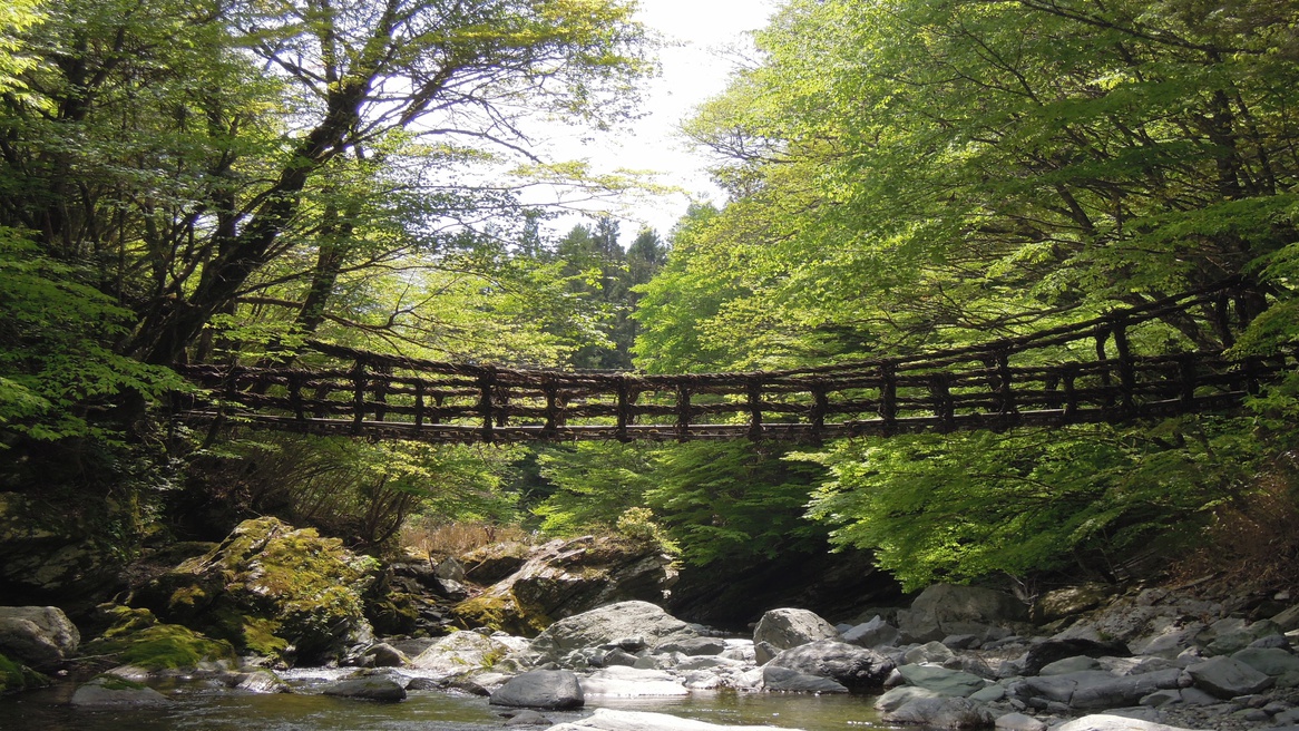 奥祖谷二重かずら橋（おくいやにじゅうかずらばし）