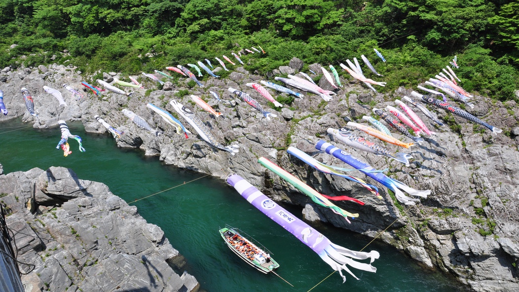 大歩危峡観光遊覧船（鯉のぼり）
