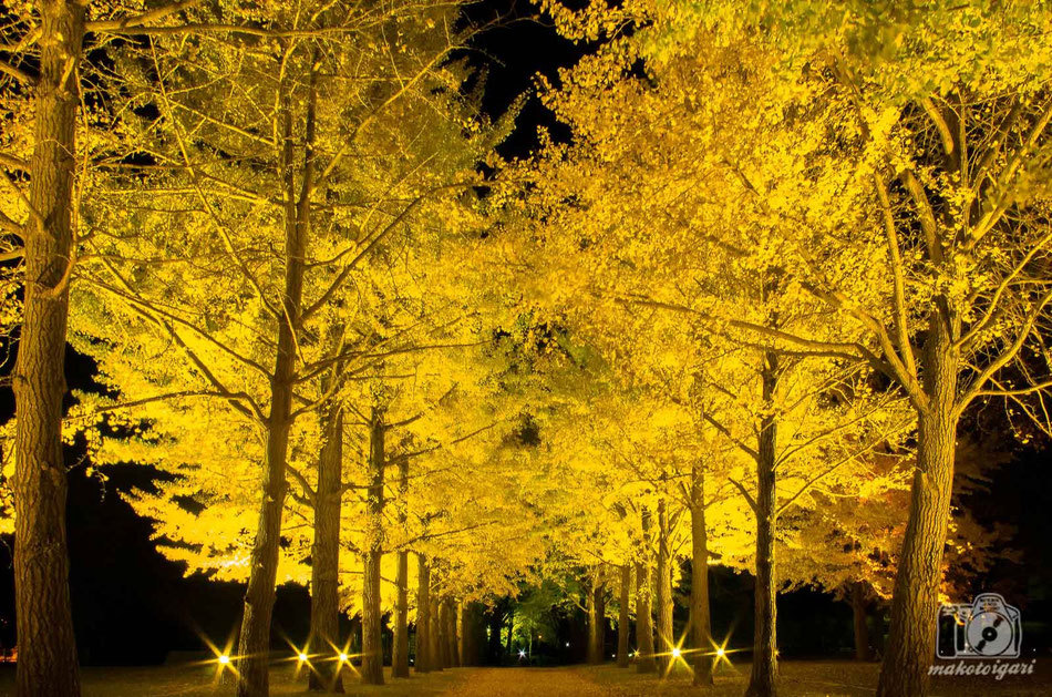 This photo about Kairakuen Youth Hostel shared on HyHotel.com