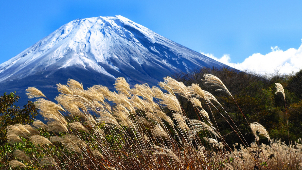 周辺富士山ビューポイントもたくさんあり、ススキ野原と富士山