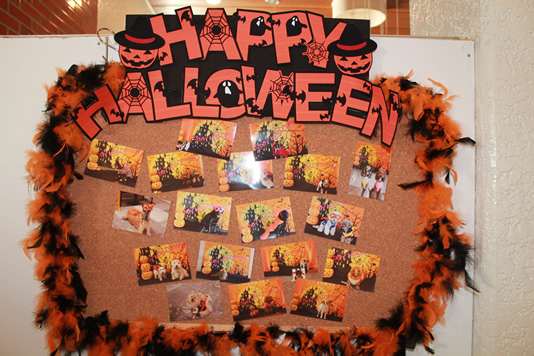 ハロウィン衣装を着て皆で楽しみました