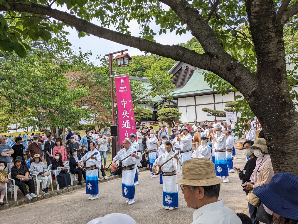 徳島城阿波おどり2024（お花見広場）流し踊り (3)