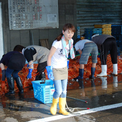 『若いも・・』