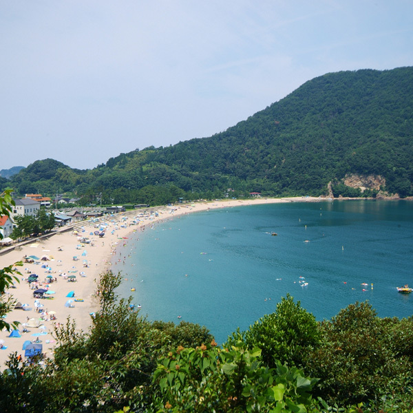 日本海特有の綺麗な海水と、約800ｍ続く白い砂浜が特長です