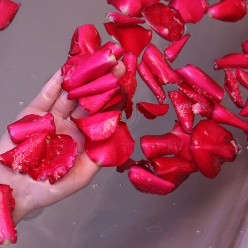 バラ風呂５−５