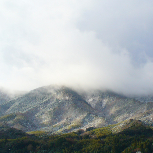 山側のお部屋からの眺望