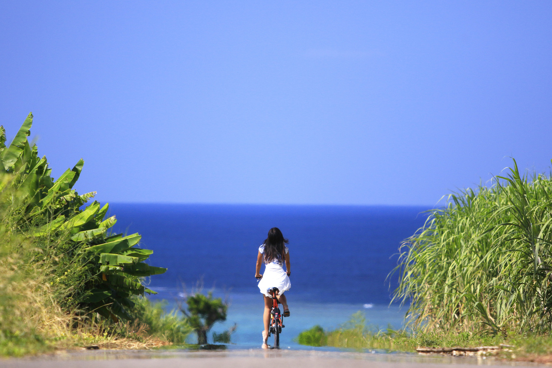 レンタルサイクル