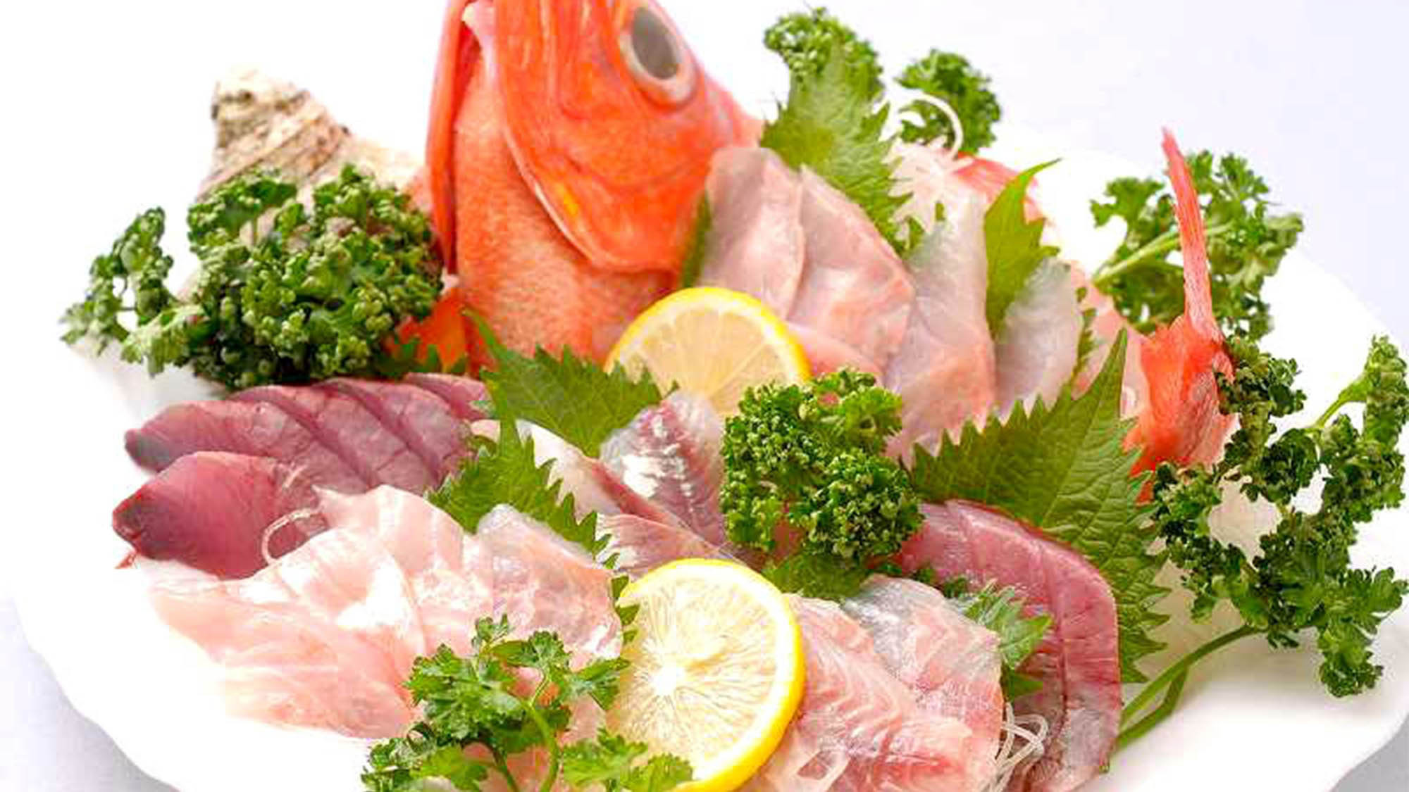 ・【ご夕食一例】黒潮の恵み！豊富な種類のお魚をお刺身で
