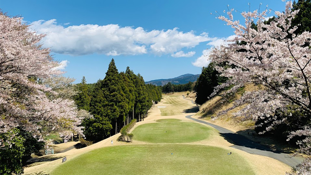 *【ゴルフコース】春は満開の桜を眺めながらのプレーができることも♪
