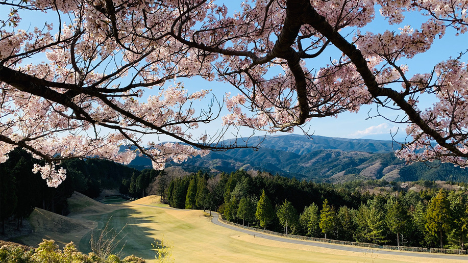 *【ゴルフコース】春は満開の桜を眺めながらのプレーができることも♪