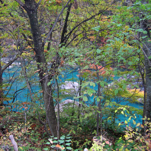 *抱返り渓谷/両岸の原生林と岸壁にかかる滝や独特の青い渓流がとても美しく、新緑と紅葉の名所です。
