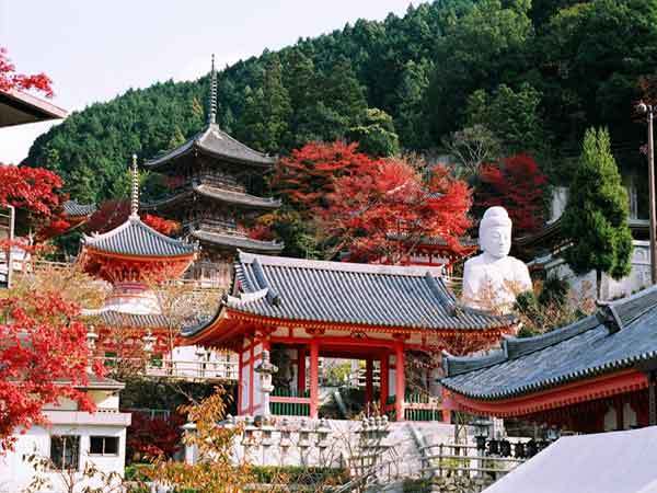 壷阪寺の紅葉