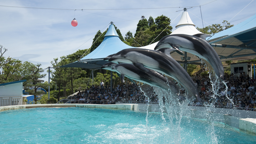 のとじま水族館