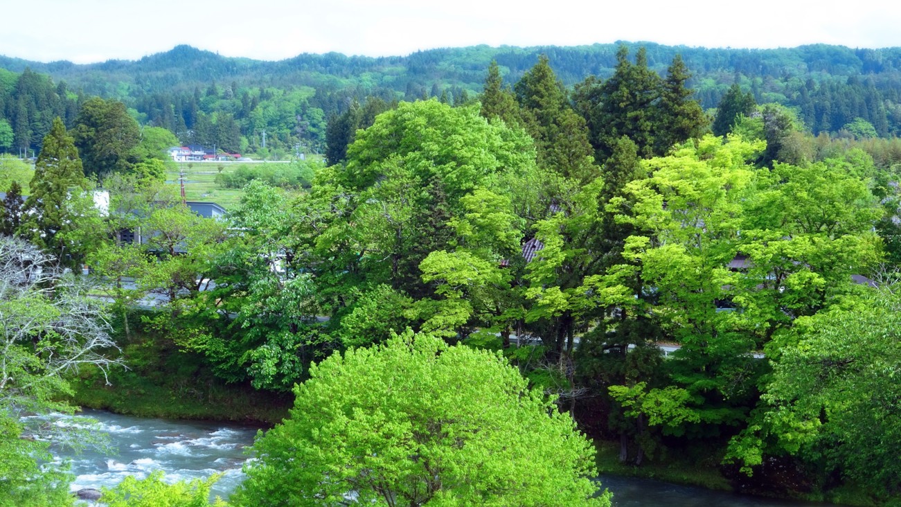 さつき亭から望む厳美渓