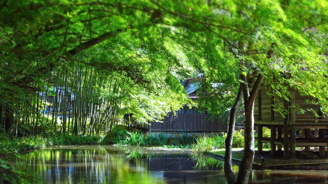 中尊寺 弁財天堂裏池