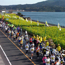 【田舎やも通ります】菜の花マラソン