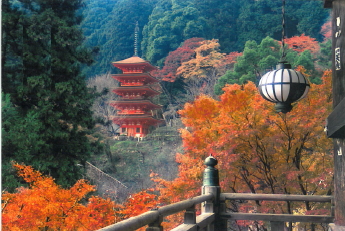 長谷寺の紅葉