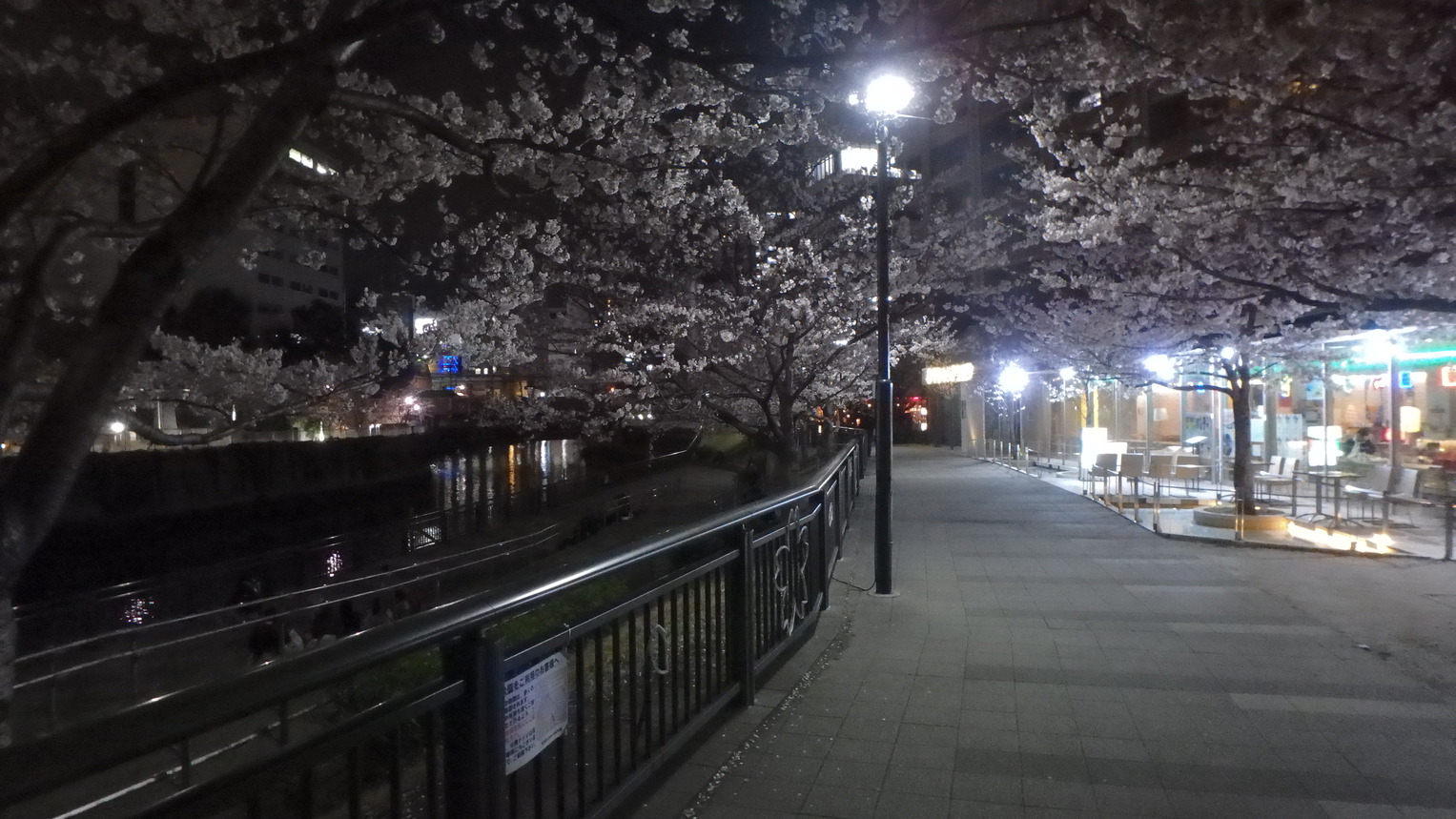 目黒川夜桜遊歩道