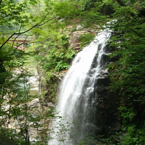 龍王峡の滝