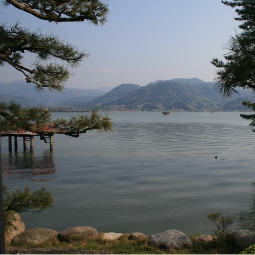 旧来タイプ客室からの景観（夏）