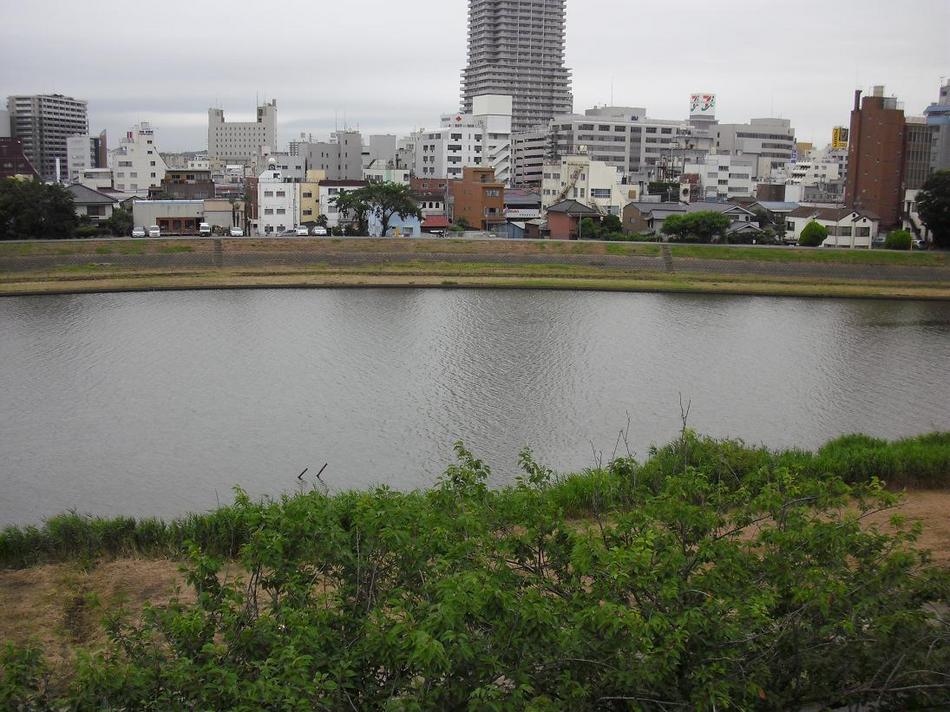 デラックスシングルから見える桜川③