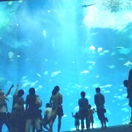 大洗町アクアワールド