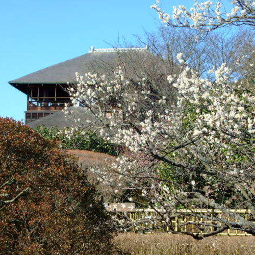 水戸市偕楽園好文亭