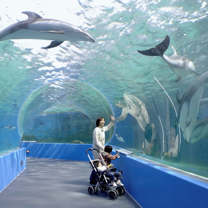 「のとじま水族館」