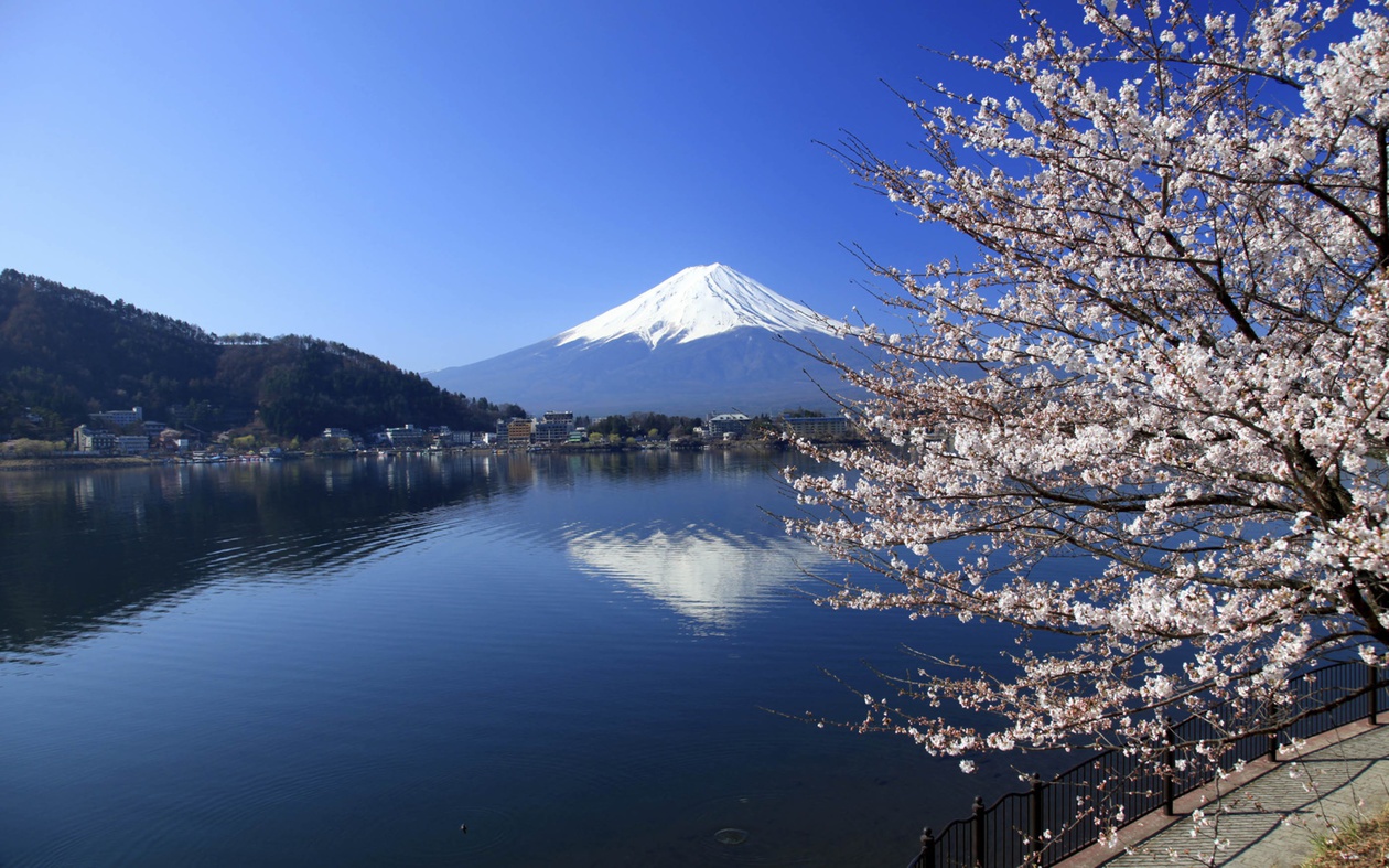 富士山