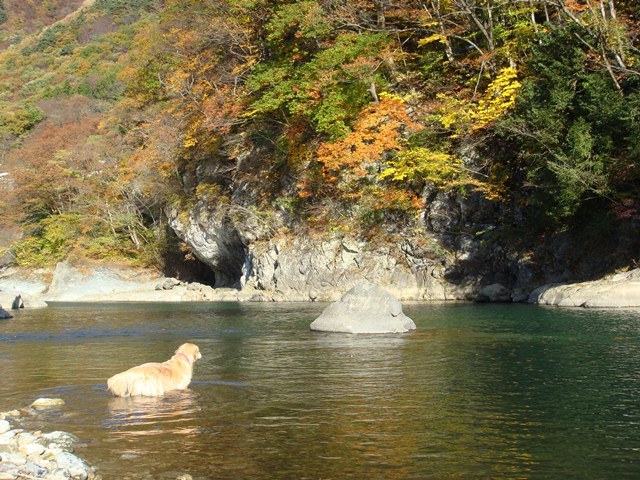 利根川にて