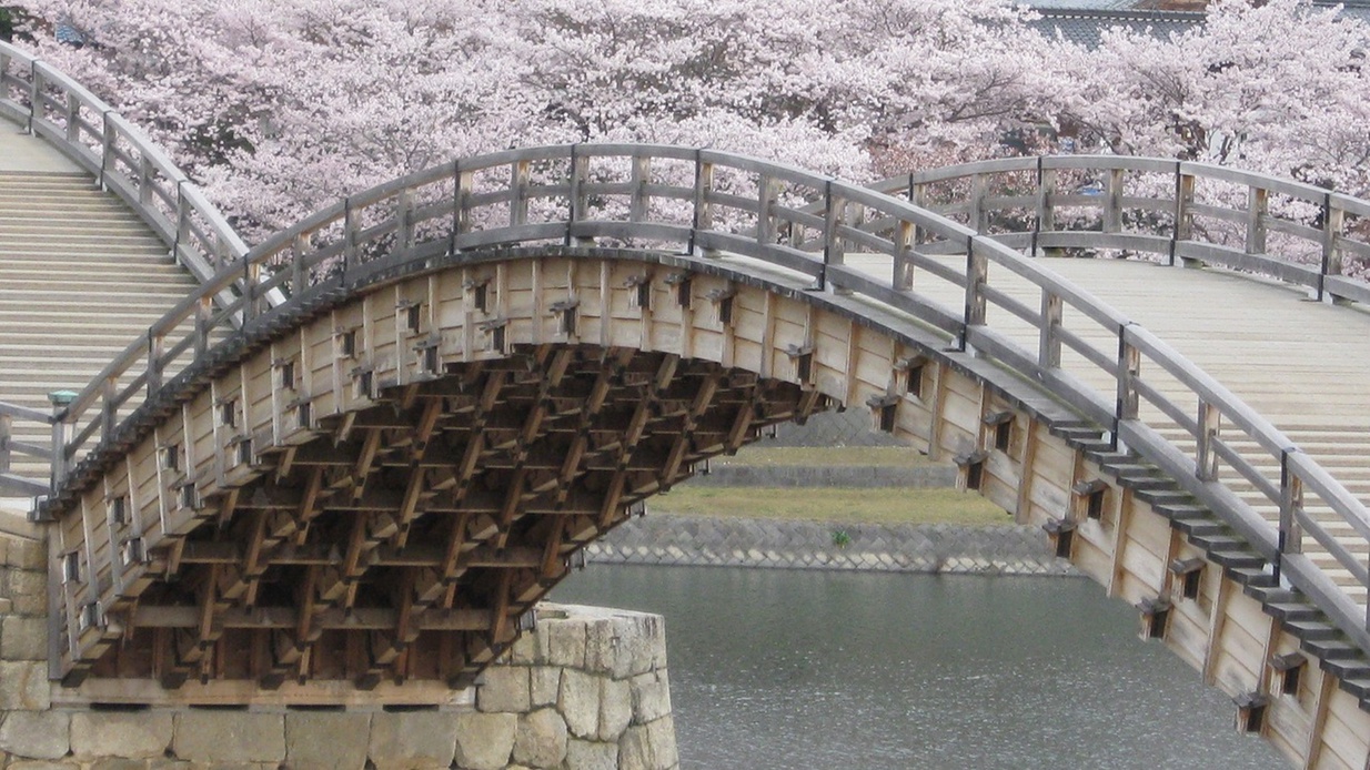 【お部屋からの眺望】錦帯橋を彩る桜の花びら。美しさが満開の季節にぜひお越しください。