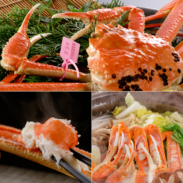 冬の味覚「松葉蟹」
