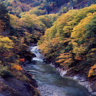 皆瀬川【秋】
