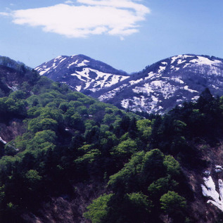 栗駒山【春】