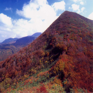 栗駒山【秋】