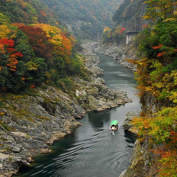 紅葉シーズンの大歩危峡を観光するのにも最適です。