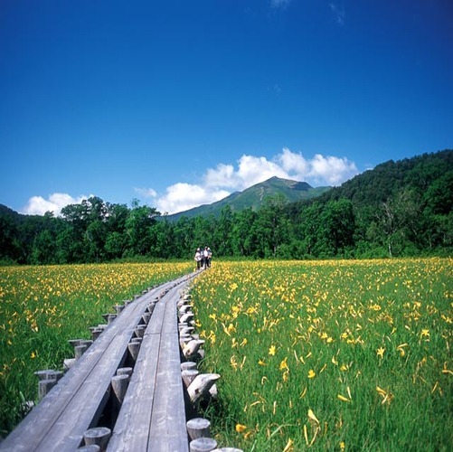 尾瀬の遊歩道