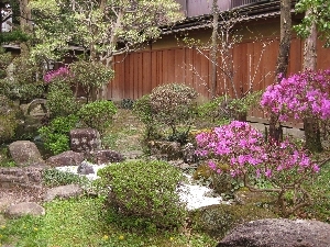 春の日本庭園
