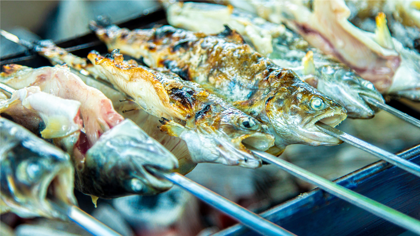 河原まで歩いて行き魚のつかみどり体験や水中観察など、夏休みの宿題にも最適です！