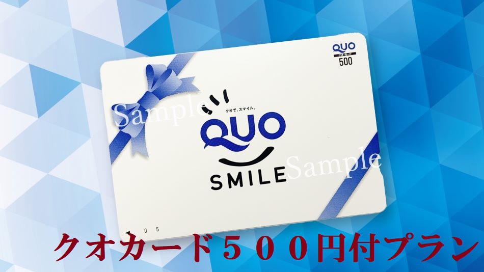 QUOカード５００円付プラン