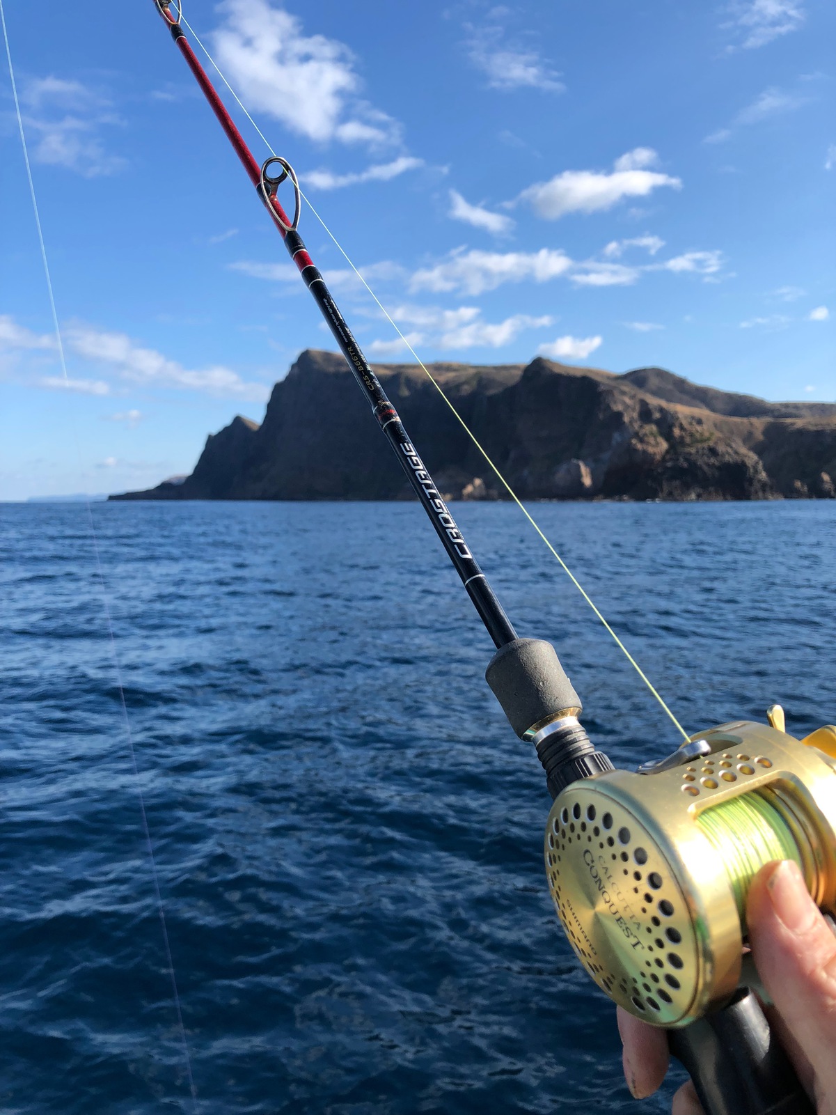晴天の下で気ままに釣り体験を。西ノ島のんびり満喫コース