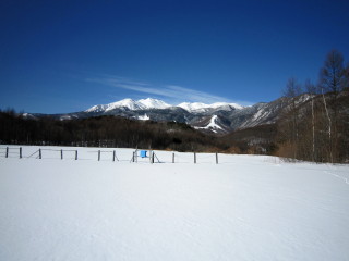 冬景色