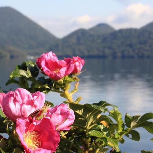 洞爺湖は豊かな自然を有する観光地です。