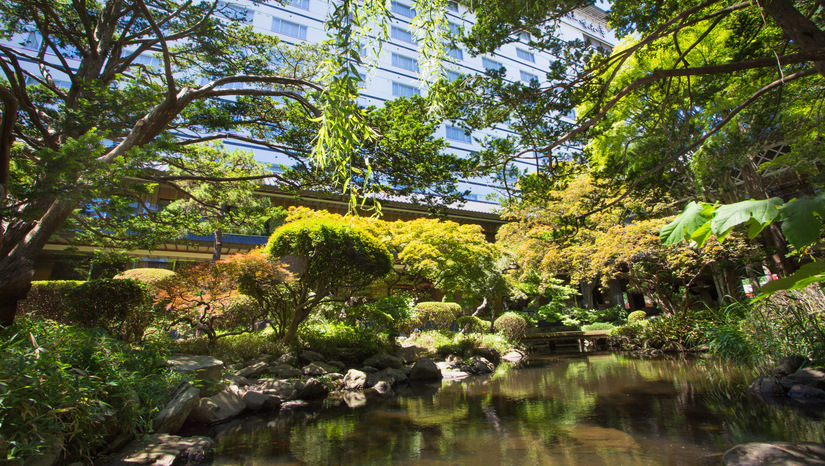 池庭と庭園