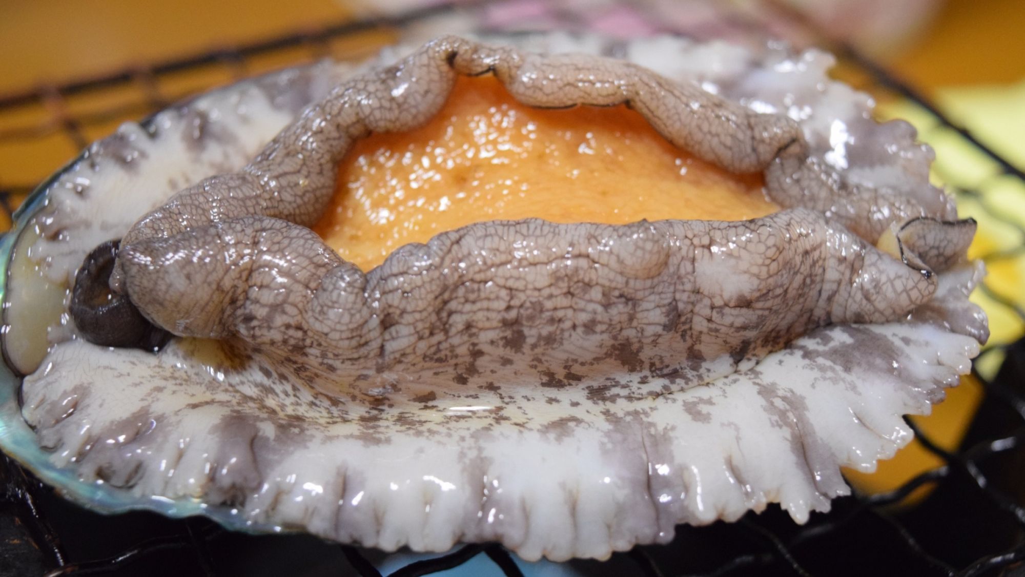 【鮑の踊り焼き】磯の香り歯ごたえが特徴※画像はイメージです