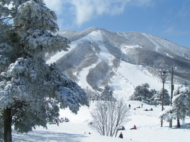 斑尾高原スキー場